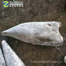 High Quality Frozen Oilfish 6kg+ Lepidocybium Flavbruneum